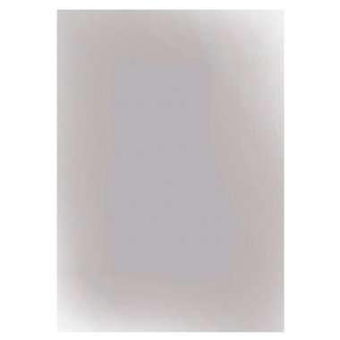 Пленка поляризационная универсальная (152*201 мм) &mdash; 1